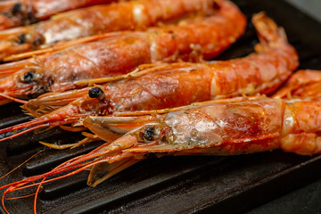 red langoustine closeup folded in a row on a black grill background