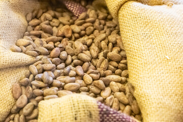 dried cocoa beans stacked in a jute bag closeup