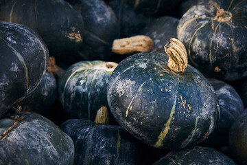 Closeup of a pile of buttercup squash
