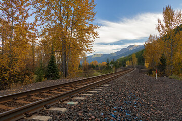 Railroad Tracks thru the Forest with mountain background