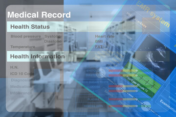 Electronic medical records application with computer lab.