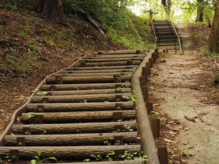 雨上がりの山の小道