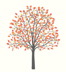 Autumn tree with red and yellow leaves
