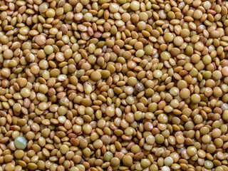 lentils seen from above filling the frame