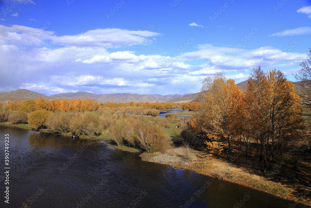 Wall mural travel in Mongolia