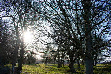 Fototapeta na wymiar Irish Landscape at Sunset