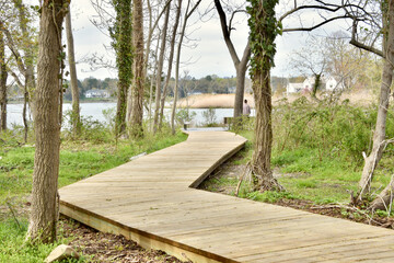 A wooden walkway winds through parkland to a viewing platform where the vista opens to a sweeping view of the harbor.  