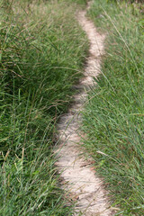 22 Sept 2007 the path at High Junk Peak Country Trail