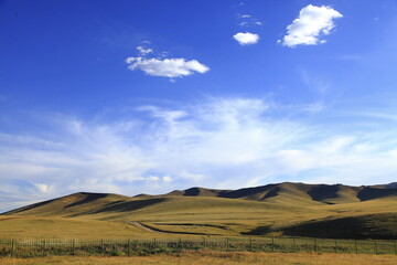 Fototapeta na wymiar travel in Mongolia