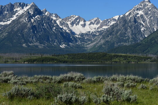 Grand Tetons Jackson Lake From Elk Island