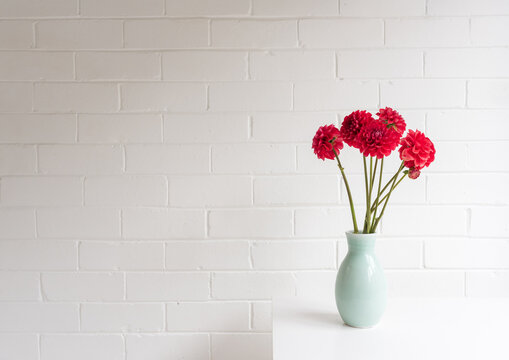 Red dahlia flowers in green vase on white table against painted brick wall with copy space (selective focus)