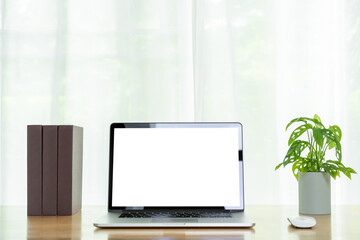 minimal modern style of workspace at home with laptop computer, books, and decorate plant.