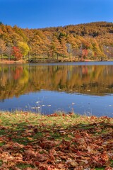 Fototapeta na wymiar 長野県・秋の女神湖の風景 9