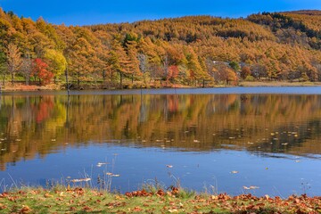 長野県・秋の女神湖の風景 10