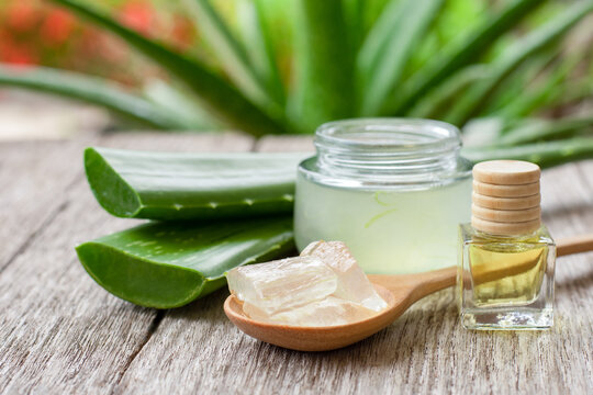 Aloe vera essential oil and aloevera gel with cactus green leaf on wood table background.