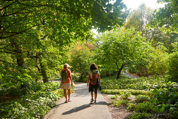 Fototapeta premium Hiking through a beautiful park with my best friend on a fall day with leaves starting to change color