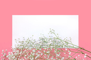 delicate white gypsophila flowers and a white sheet of paper on a pink background in the center of the frame