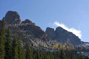 autumn larches in the cascades