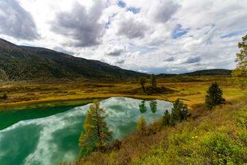 Fototapeta premium a strange green lake hiding in the mountains