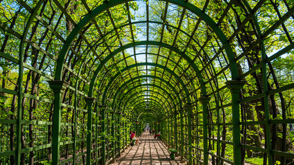 A garden tunnel in Summer Garden, St Petersburg, Russi. View through tunnel. The Summer Garden is located on an island between Fontanka, Moika and the Swan Canal in St. Petersburg, Russia.