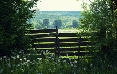 Summer green rural farm fence landscape. Wooden farm fence summer scene. Country farm fence spring time.