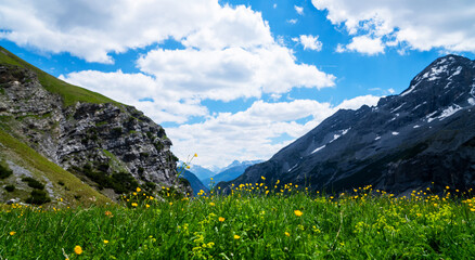 Fototapeta premium Stelvio pass in Italy, Ortler Alps, Italy. Stelvio Pass, over the alps between Lombardy and Trentino, towards the Trentino side. Alpine landscape.