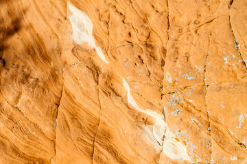 Pattern of Weathering Erosion On The Aztec Sandstone Walls  of The Calico Hills,  Red Rock Canyon NCA, Las Vegas, Nevada, USA