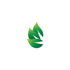Leaf Logo Template vector symbol