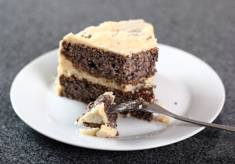 Poppy Seed Cake with Buttercream Icing