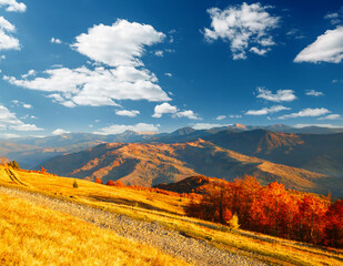 Incredible autumn landscape in sunny day. Location place of Carpathian mountains, Ukraine.