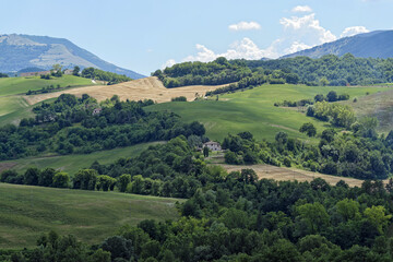 Paysage d'été dans la région des Marches en Italie