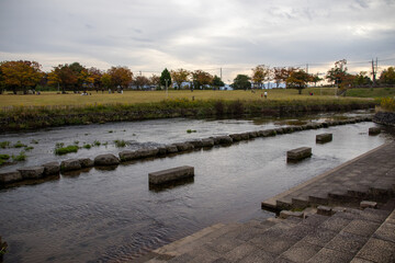 公園を流れる川