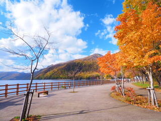 北海道の風景 秋の支笏湖