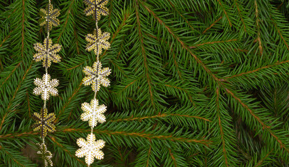 Christmas tree branches background with golden snowflakes border and copy space. Close-up of fir branches.
