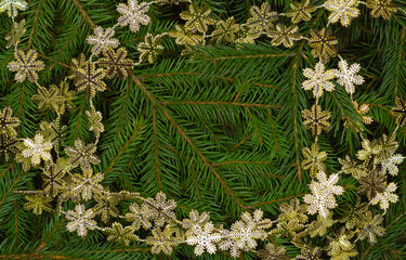 Christmas tree branches background with golden snowflakes frame and copy space. Close-up of fir branches.