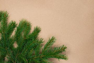 Traditional green christmas tree noble fir border frame on craft paper background with copy space.