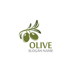 Olive oil with green leaves branch. Natural fruits and vegetable vector