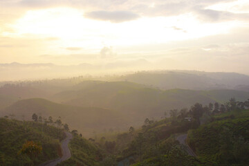 Misty mountain tea plantation dan forest landscape in the morning, Pangalengan West Java Indonesia
