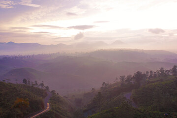 Misty mountain tea plantation dan forest landscape in the morning, Pangalengan West Java Indonesia