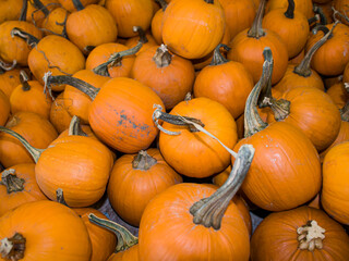Fall Background of Orange Pumpkins at a Fruit Stand