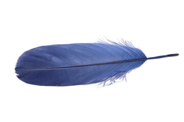 Dark Blue fluffy feather isolated on the white