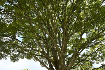 Unterwegs auf der Schwäbischen Alb