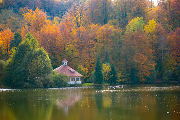 Abandanod cottage on autumn lake.