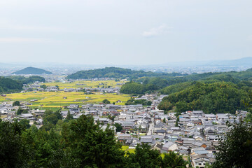 Fototapeta na wymiar A bird's-eye view of an agricultural village in Nara, Japan, taken from the top of a mountain
