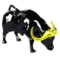 Black bull isolated on white background