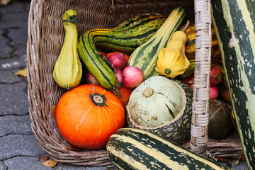 Herbstkorb mit Kürbissen, Früchten und Zucchinis