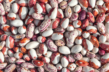 Background of pinto kidney beans lies in a heap and dries. Protein food, healthy food