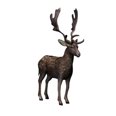 Wild animals - fallow deer in view from the front - isolated on white background - 3D illustration