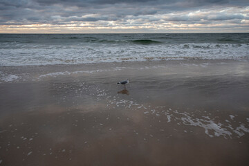 beautiful island of Sylt, Germany