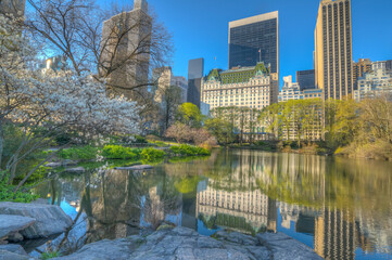 Central Park, New York City at the lake